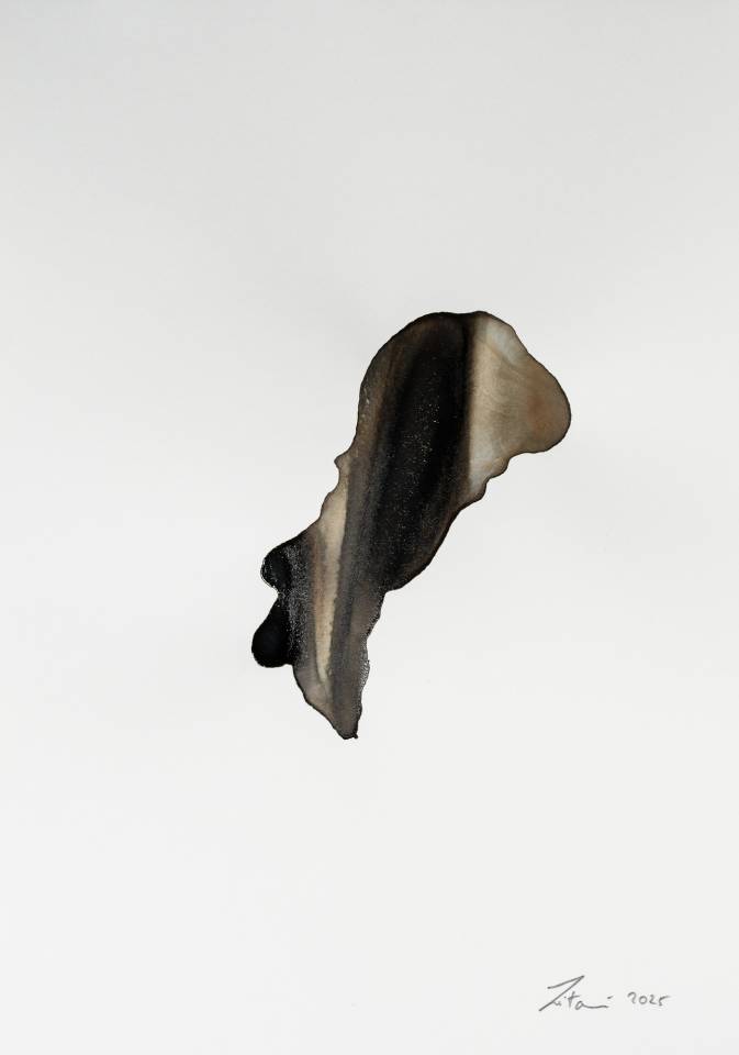 Abstract painting - Ink on Paper - Artwork by Nabil Zitouni 