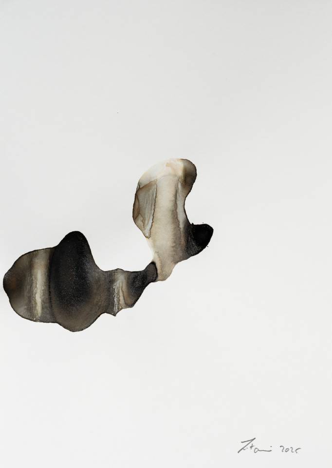 Abstract painting - Ink on Paper - Artwork by Nabil Zitouni