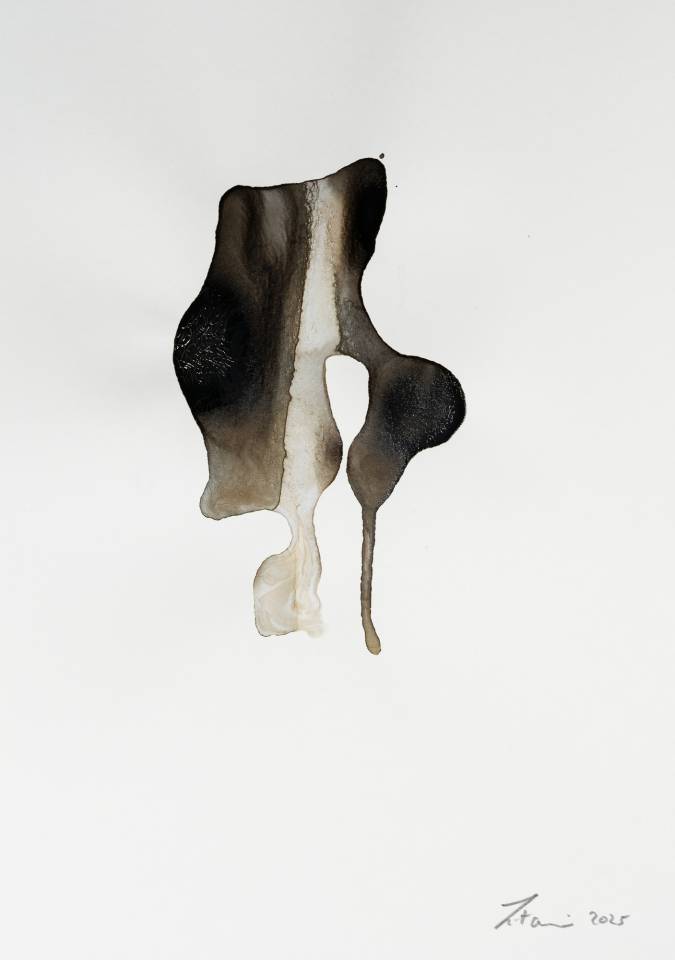 Abstract painting - Ink on Paper - Artwork by Nabil Zitouni