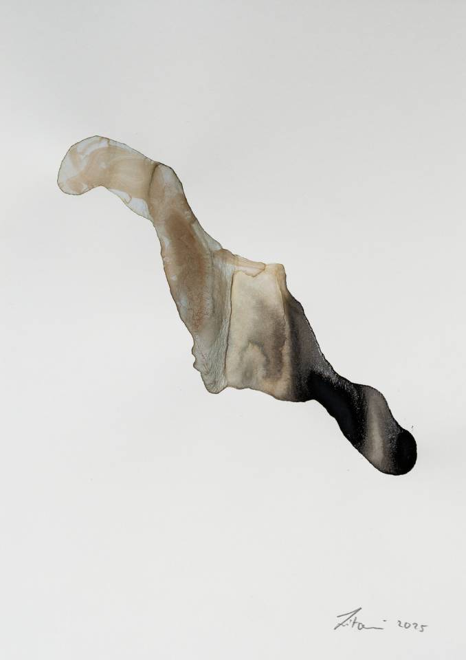 Ink on Paper - Abstract artwork - painting by Nabil Zitouni