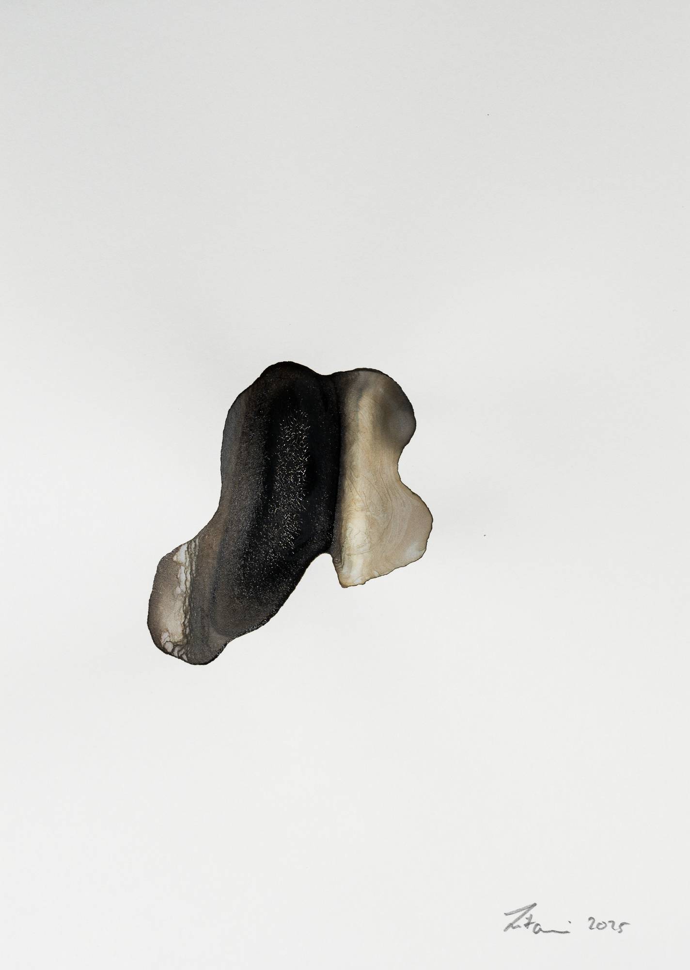 Abstract painting - Ink on Paper - Artwork by Nabil Zitouni 